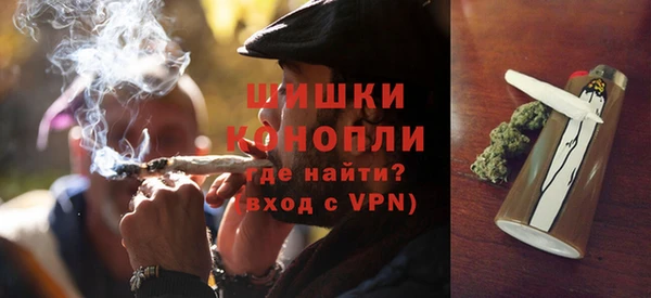 крисы Бронницы
