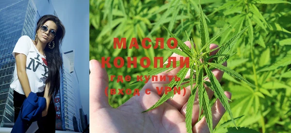 spice Бородино