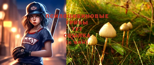 spice Бородино