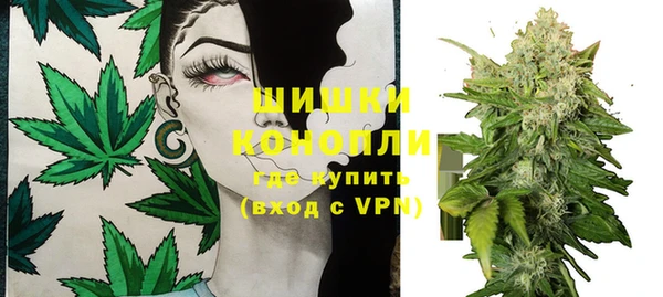 крисы Бронницы