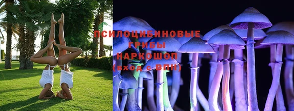 spice Бородино